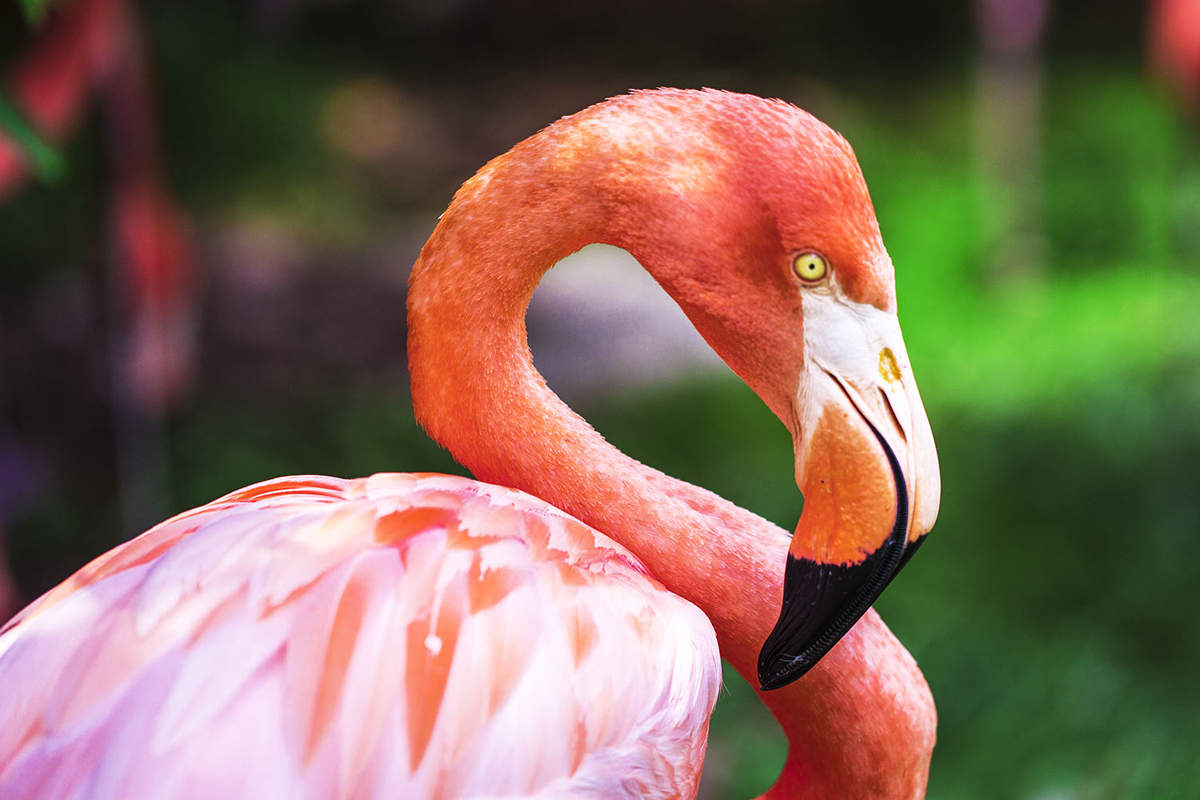 Look at this one-of-a-kind info source and choose for yourself where you would certainly such as to buy Synthroid and the amount of of it you require.